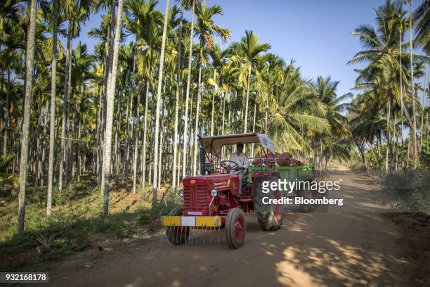 Farmer driving a Mahindra 475 DI tractor, manufactured by Mahindra & Mahindra Ltd., transports soil to an areca nut farm in the village of Kuragunda...