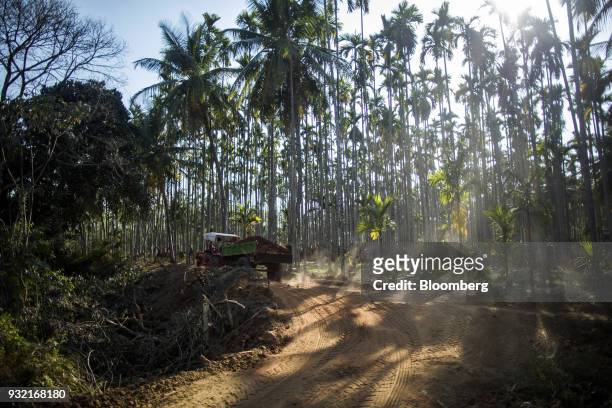 Farmer transports soil to an areca nut farm in the village of Kuragunda in Karnataka, India, on Thursday, March 8, 2018. With almost 70 percent of...