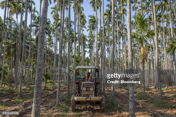 Farmer operates a tractor on an areca nut farm in the village of Kuragunda in Karnataka, India, on Thursday, March 8, 2018. With almost 70 percent of...