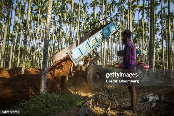 Farmer observes soil being unloaded at an areca nut farm in the village of Kuragunda in Karnataka, India, on Thursday, March 8, 2018. With almost 70...