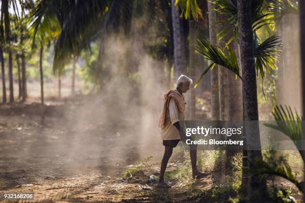 Farmer walks through an areca nut farm in the village of Kuragunda in Karnataka, India, on Thursday, March 8, 2018. With almost 70 percent of India's...