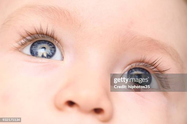 child eyes - blue eyes stock pictures, royalty-free photos & images