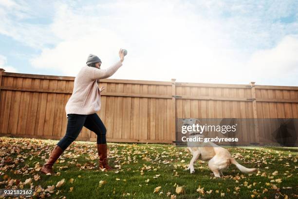 pet friendly lawn