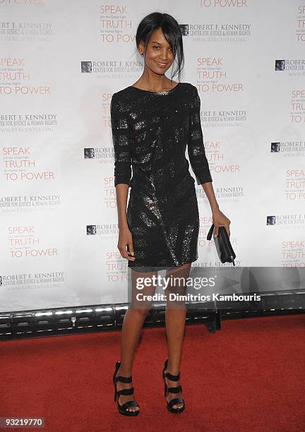 Liya Kebede attends the 2009 Robert F. Kennedy Center Ripple of Hope Awards dinner at Pier Sixty at Chelsea Piers on November 18, 2009 in New York...