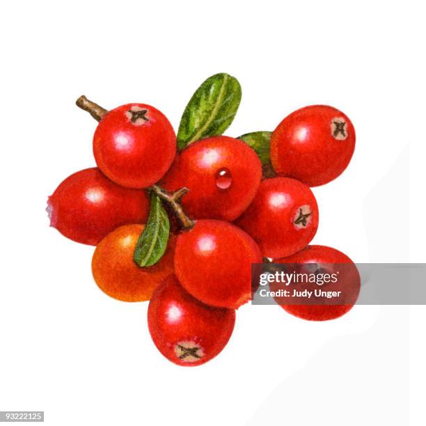 cranberry group - cranberries stock illustrations