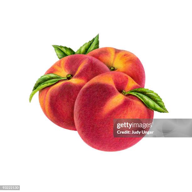 illustrations, cliparts, dessins animés et icônes de peach group of 3 - pêche fruit