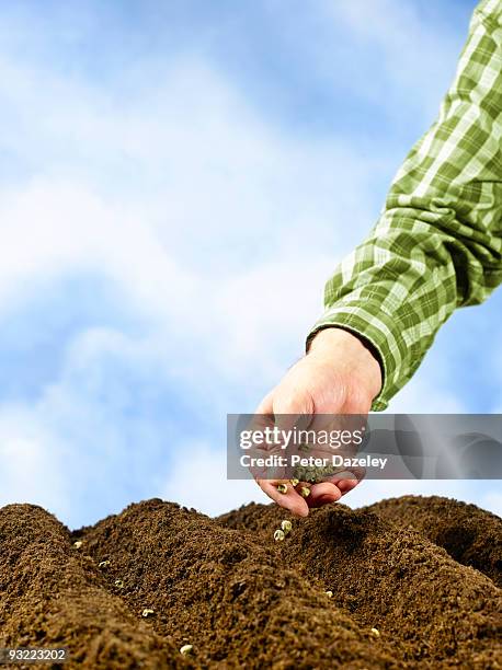 hand sowing seeds with copy space. - parsons green stockfoto's en -beelden