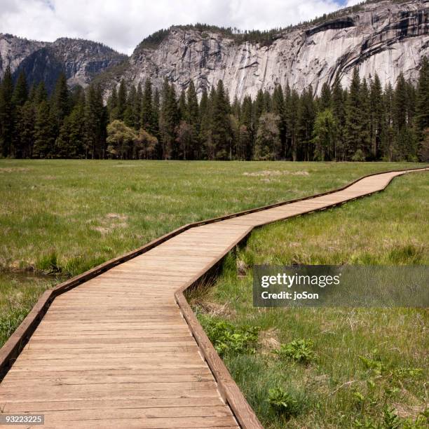 walk way in to the forest, yosemite valley - pdcsm1 do not delete stock-fotos und bilder