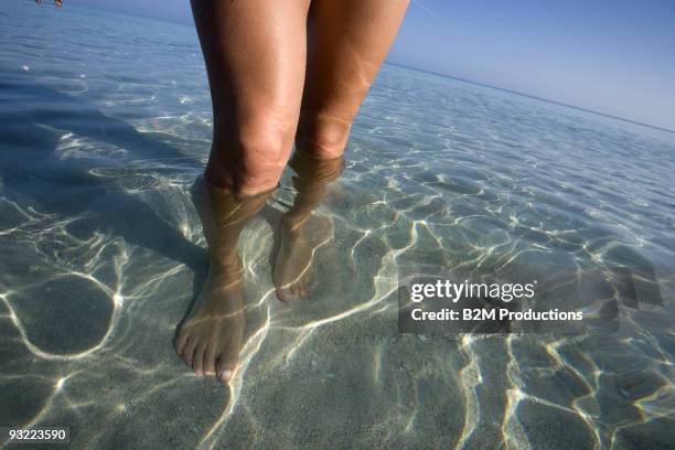 woman's feet in water, close-up - ankle deep in water fotografías e imágenes de stock