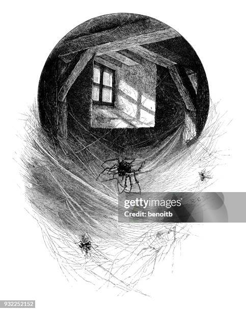 spider with flies in spider web - finished basement stock illustrations