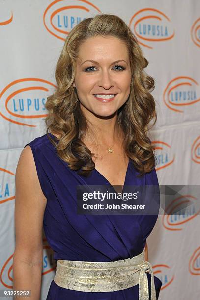 Actress Ali Hillis attends the 7th Annual Bag Ladies Luncheon benefitting Lupus LA at Beverly Wilshire Four Seasons Hotel on November 18, 2009 in...