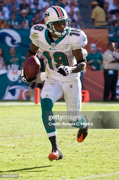 Ted Ginn, Jr. #19 of the Miami Dolphins carries the ball during a NFL game against the Tampa Bay Buccaneers at Land Shark Stadium on November 15,...