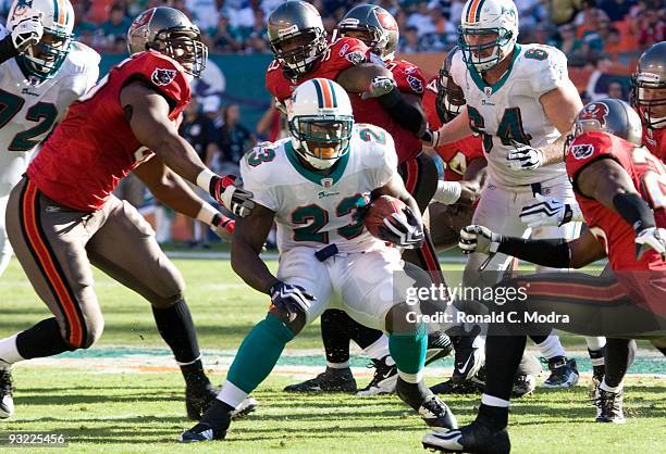 Ronnie Brown of the Miami Dolphins carries the ball during a NFL game against the Tampa Bay Buccaneers at Land Shark Stadium on November 15, 2009 in...