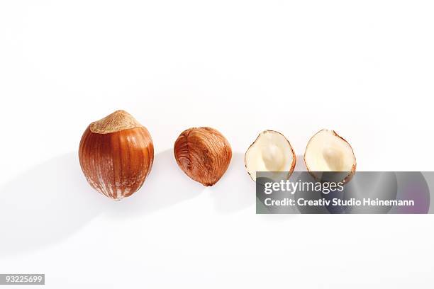 hazelnuts in a row, elevated view - ヘーゼルナッツ ストックフォトと画像