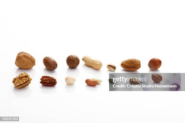 variety of nuts in a row - pecan nut stock pictures, royalty-free photos & images