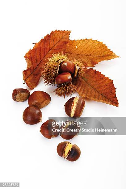 sweet chestnuts and leaves, elevated view - marrone foto e immagini stock