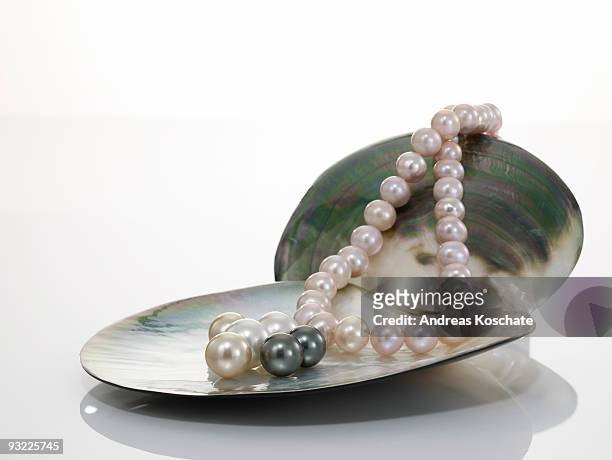 pearl necklet and black pearl on shell - perla negra fotografías e imágenes de stock