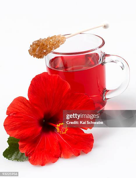 hibiscus flower tea and hibiscus flower - hibiscus stock pictures, royalty-free photos & images