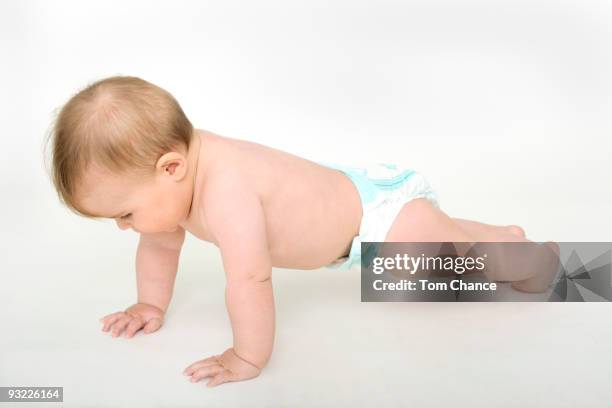 baby girl (6-12 months) crawling - krabbeln stock-fotos und bilder