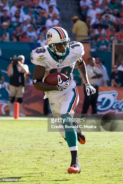 Ted Ginn, Jr. #19 of the Miami Dolphins carries the ball during a NFL game against the Tampa Bay Buccaneers at Land Shark Stadium on November 15,...