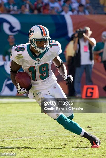 Ted Ginn, Jr. #19 of the Miami Dolphins carries the ball during a NFL game against the Tampa Bay Buccaneers at Land Shark Stadium on November 15,...