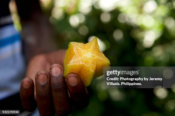 starfruit - carambola stock pictures, royalty-free photos & images