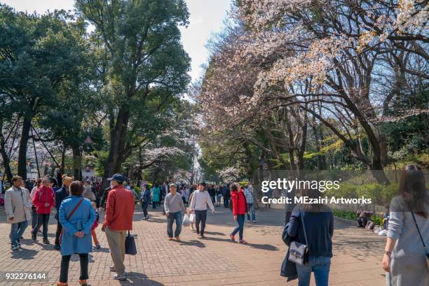 cherry blossom at ueno park, tokyo - april 2017 laughing stock pictures, royalty-free photos & images