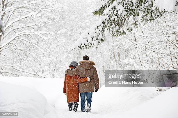 austria, salzburger land, altenmarkt, couple walking in snow covered landscape, rear view - winter couple stock-fotos und bilder