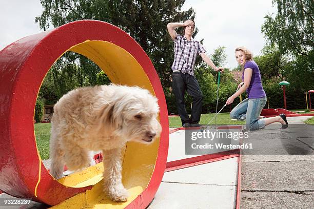 germany, bavaria, ammersee, young couple playing mini golf, dog in foreground - bavaria girl stockfoto's en -beelden