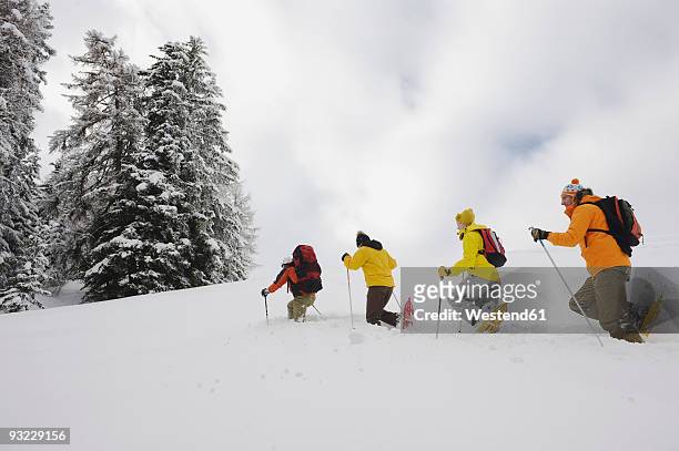 italy, south tyrol, people snowshoeing in a row - racchetta da neve attrezzatura sportiva foto e immagini stock