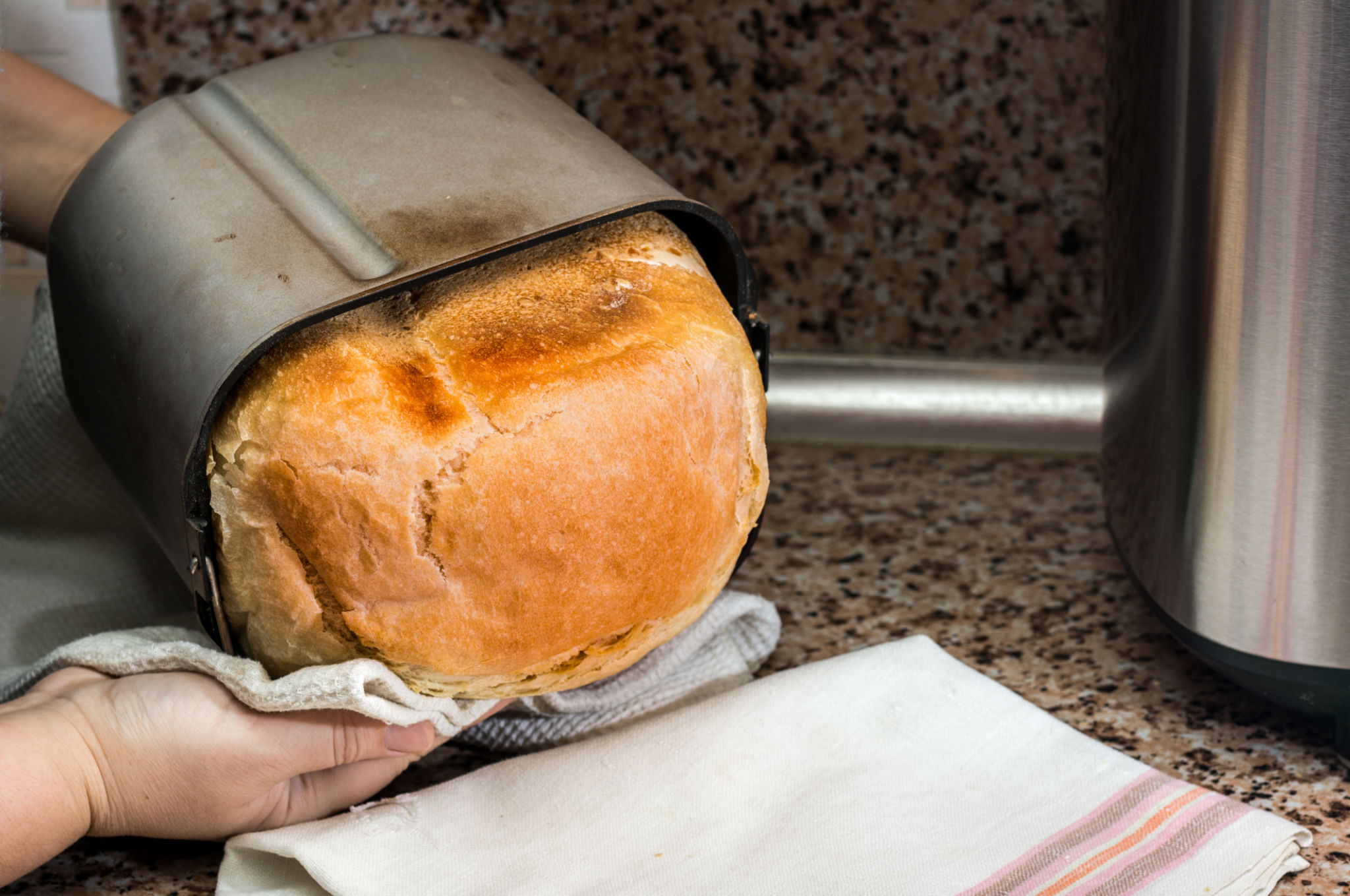 home baked bread