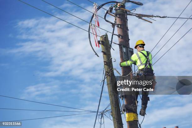 men up pole working on power lines - utility pole stock pictures, royalty-free photos & images