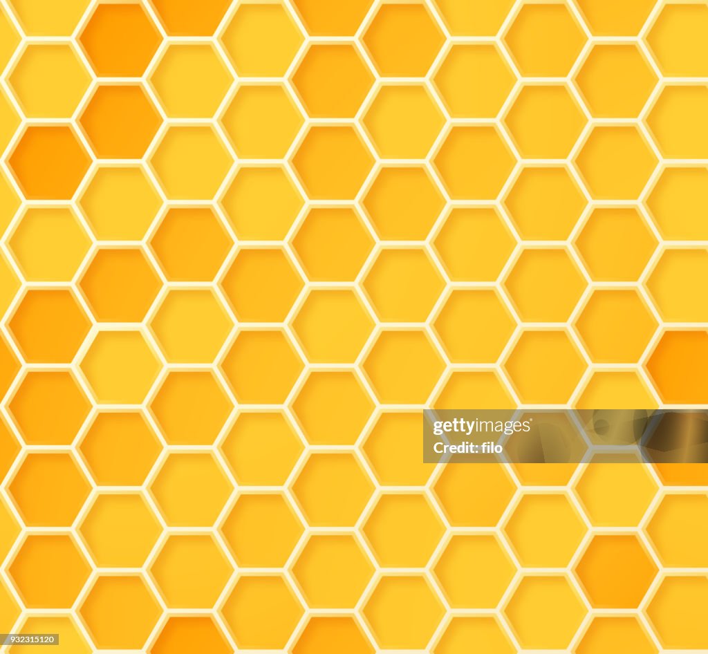 Seamless Beehive Honeycomb Pattern