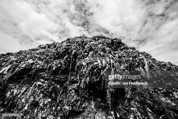 Hill of rubbish is seen on the Dandora rubbish dump on March 14, 2018 in Nairobi, Kenya. The Dandora landfield is located 8 Kilometer east of the...