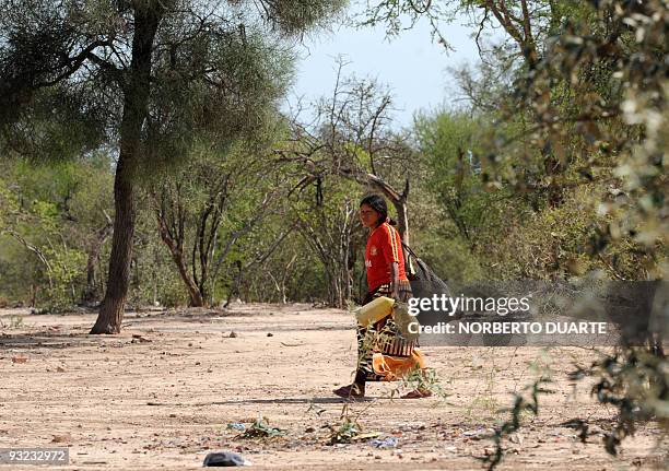 Woman goes in search of water in the Paraguayan central Chaco, in the department of Presidente Hayes, some 410 km northwest of Asuncion, on November...