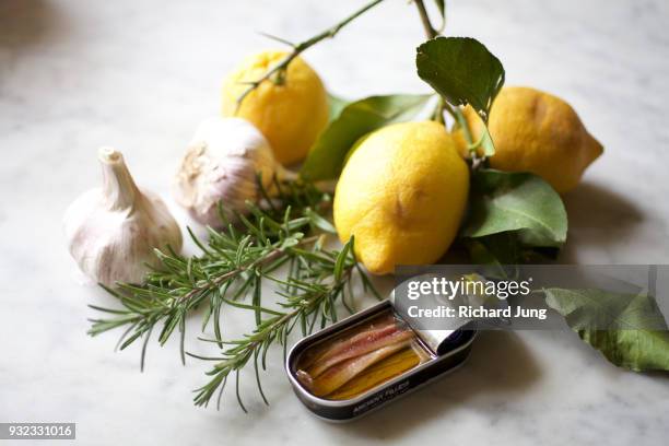 still life with lemons, garlic, rosemary and anchovies on marble surface - fish in bulb stock-fotos und bilder