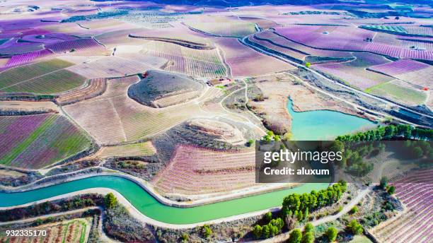 beautiful aerial view of fruit trees in blossom springtime lleida catalonia spain - lerida stock pictures, royalty-free photos & images