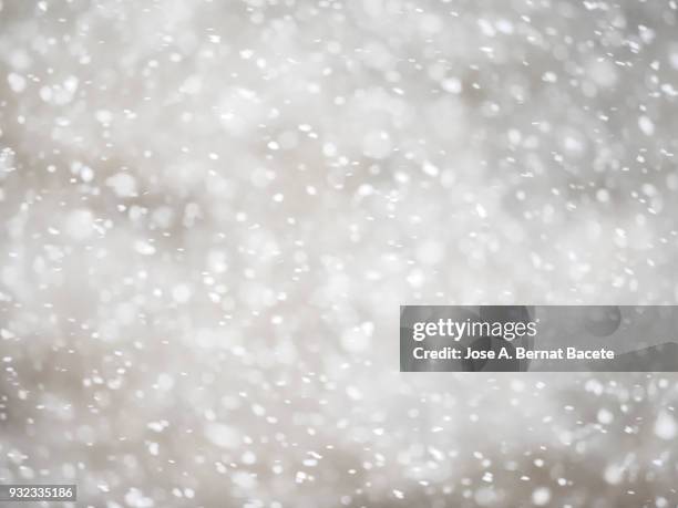 full frame snowstorm, looking at the sky with gray clouds. - blizzard bildbanksfoton och bilder