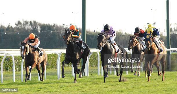 Equalling Federico Caprilli Photos and Premium High Res Pictures - Getty Images
