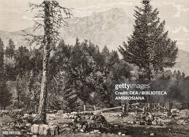 Becco di Filadonna seen from Lavarone, Trentino-Alto Adige, Italy, drawing by Feoli, engraving from L'Illustrazione Italiana, No 37, September 12,...