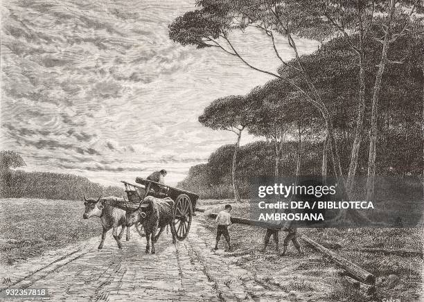 Gombo, Tuscan countryside, transporting timber on a oxen-drawn cart, engraving based on a painting by Emanuel Bertea, from L'Illustrazione Italiana,...