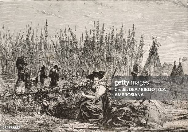 The hop harvest in Alsace, France, engraving from L'Illustrazione Italiana, No 21, May 23, 1880.