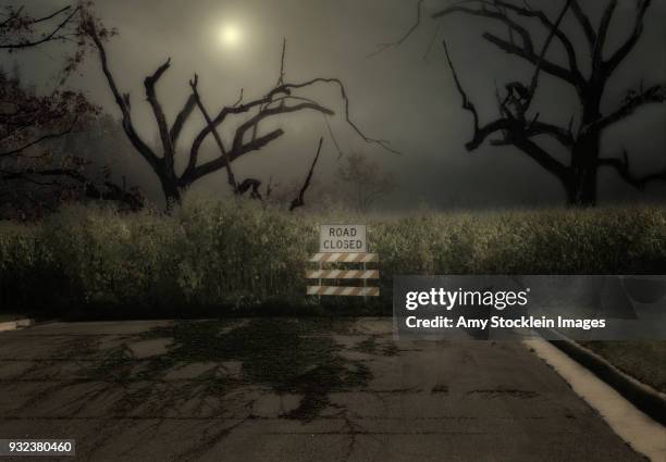 dead end road to nowhere - señal de calle sin salida fotografías e imágenes de stock