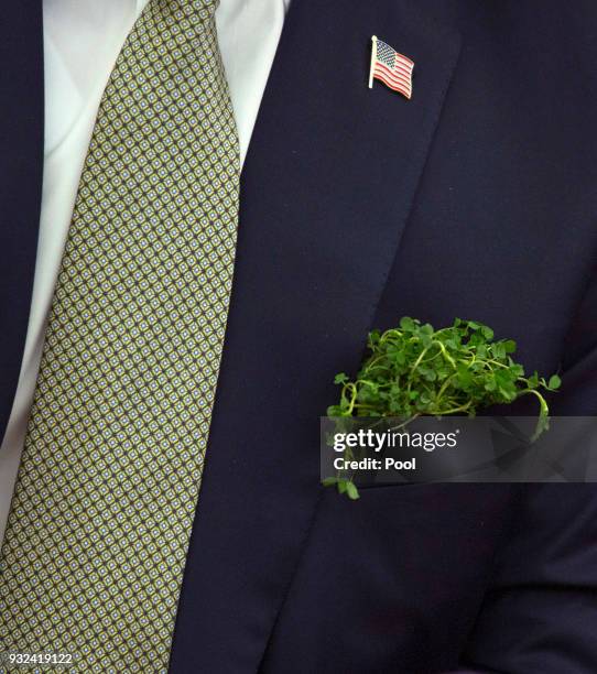 Detail of clovers in the pocket of U.S. President Donald J. Trump as he meets with Taoiseach Leo Varadkar of Ireland at The White House March 15,...