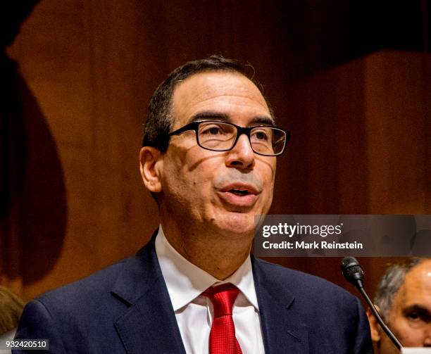 American investment banker Steven Mnuchin testifies before the Senate Finance Committee during his Secretary of the Treasury confirmation hearing,...