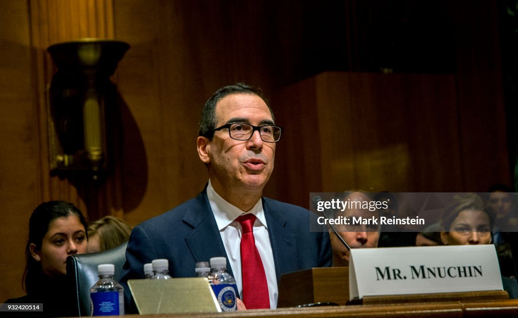 Steven Mnuchin At Treasury Hearing