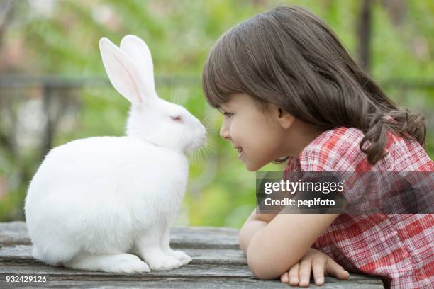 little girl and white rabbit - white rabbit stock pictures, royalty-free photos & images