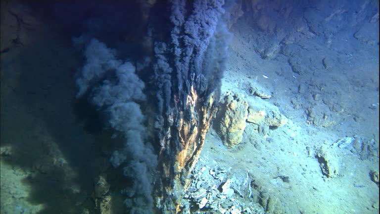 Black Smoker: 100 surprising truths and secrets with some hidden dangerous of deep-sea hydrothermal vents 12 black smoker deep sea vent rises from ocean floor mid atlantic ridge