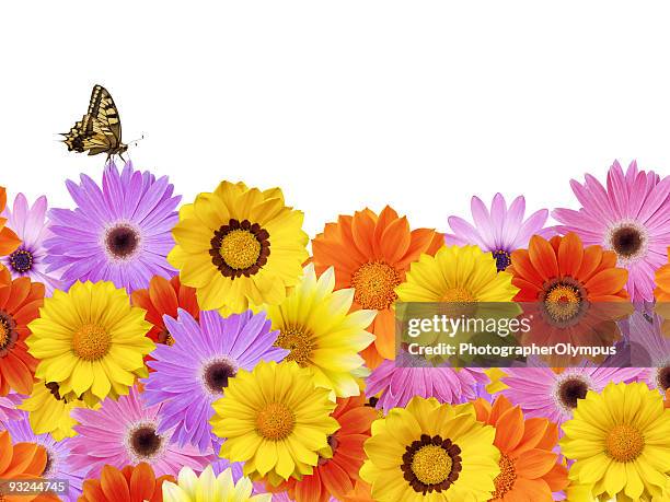 Border Spring Still 2,819 Spring Border Stock Photos, High-Res Pictures, and Images - Getty ...