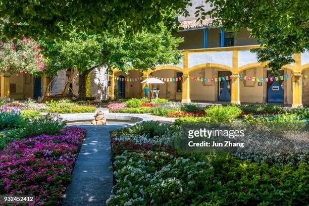 the garden of the hospital in arles - arles stock pictures, royalty-free photos & images